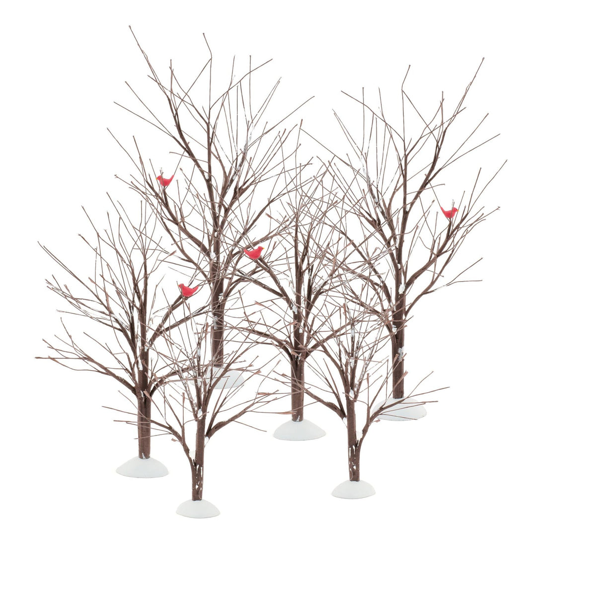Bare Branch Tree