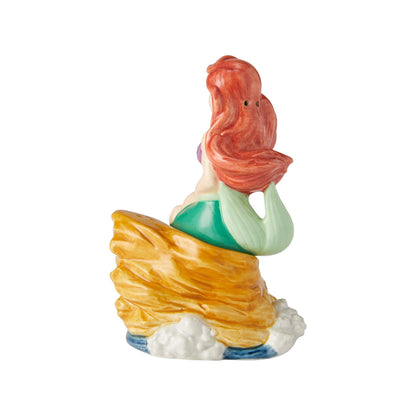 Ariel on Rock