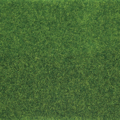 Turf Ground Cover
