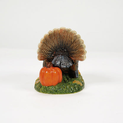 Tom Turkey