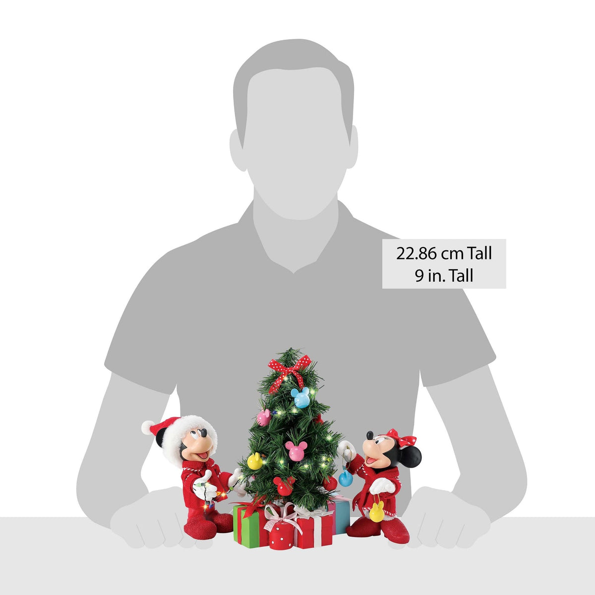 Mickey Mouse Decorations